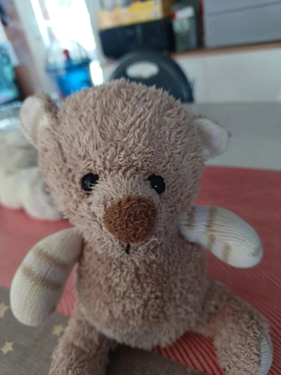 Knuffeldoe – photo 4